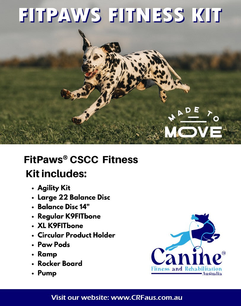 FitPaws Fitness Kit