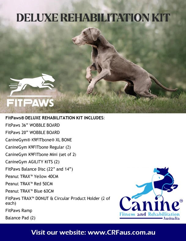 FitPaws Deluxe Rehabilitation Kit