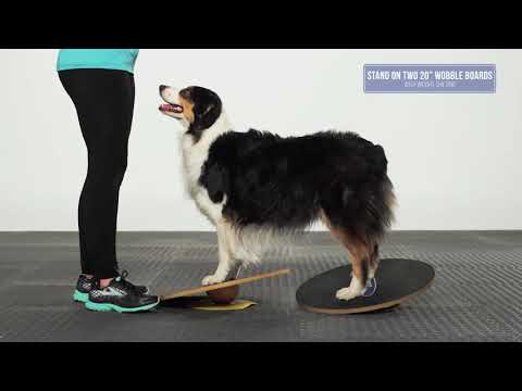 Dog hot sale wobble board